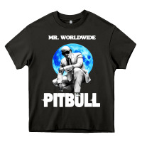Merch Mr Worldwide Pit Bull Heavy Core Tee | Teevron