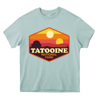 Arona tatooine national park Heavy Core Tee - artisFamous