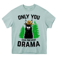 Arona only you can prevent drama llama Heavy Core Tee - artisFamous