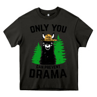 Asphalt only you can prevent drama llama Heavy Core Tee - artisFamous