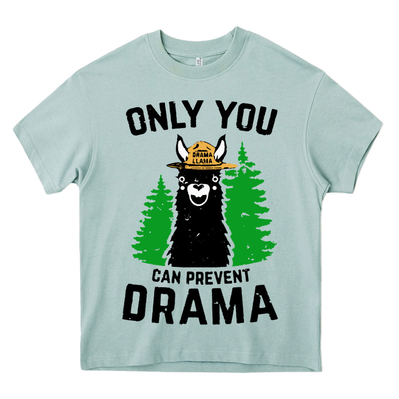 Only You Can Prevent Drama Llama Heavy Core Tee by artisFamous | Teevron