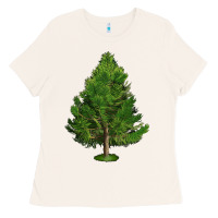 White Pine Tree Illustrations Ladies Tee | Teevron