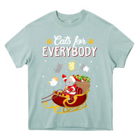 Arona cats for everybody cat christmas ugly christmas sweatshirt Heavy Core Tee - artisFamous