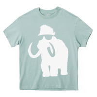 Arona mammoth Heavy Core Tee - artisFamous
