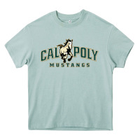 Arona cal poly mustangs Heavy Core Tee - artisFamous