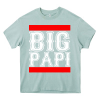 Arona big papi Heavy Core Tee - artisFamous