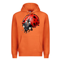 Carrot ladybug Premium Hoodie - Jasminsmagicworld