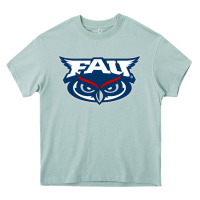 Arona florida atlantic owls Heavy Core Tee - artisFamous