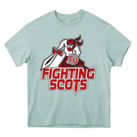Arona edinboro fighting scots Heavy Core Tee - artisFamous
