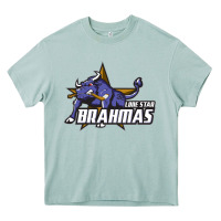 Arona lone star brahmas Heavy Core Tee - artisFamous