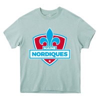 Arona maine nordiques Heavy Core Tee - artisFamous