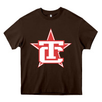 Chocolate Brown Traverse City North Stars Heavy Core Tee - artisFamous