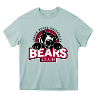 Arona lenoir rhyne gifts Heavy Core Tee - artisFamous