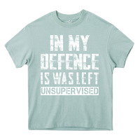 Arona in my defence i was left unsupervised Heavy Core Tee - artisFamous