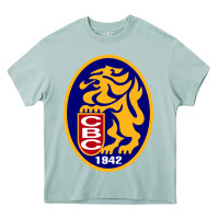 Arona leones del caracas Heavy Core Tee - artisFamous