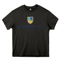 Asphalt Chamberlain College Nursing Heavy Core Tee - artisFamous