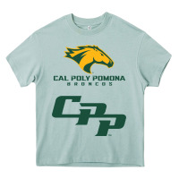 Arona cal pol pomona Heavy Core Tee - artisFamous