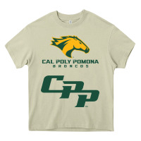 Mossy cal pol pomona Heavy Core Tee - artisFamous