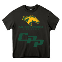 Asphalt cal pol pomona Heavy Core Tee - artisFamous