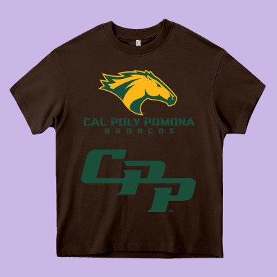 Cal Pol Pomona Heavy Core Tee Designed By Artisfamous