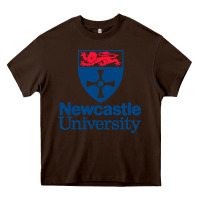 Chocolate Brown Newcastle Gift Heavy Core Tee - artisFamous