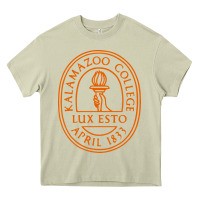 Mossy Kalamazoo College Heavy Core Tee - artisFamous