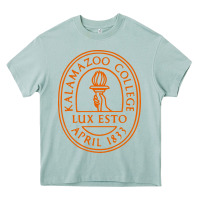 Arona Kalamazoo College Heavy Core Tee - artisFamous