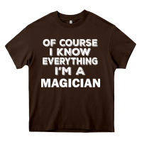 Chocolate Brown i know everything i'm a magician Heavy Core Tee - artisFamous