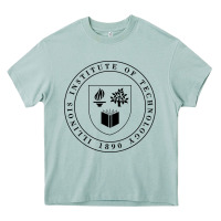 Arona Illinois Institute of Technology College Heavy Core Tee - artisFamous