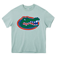 Arona gators gator Heavy Core Tee - artisFamous