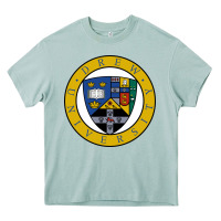 Arona drew university Heavy Core Tee - artisFamous