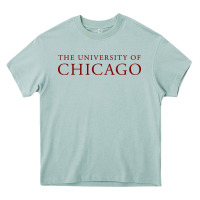 Arona College of Chicago Heavy Core Tee - artisFamous