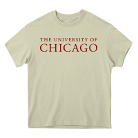 Mossy College of Chicago Heavy Core Tee - artisFamous
