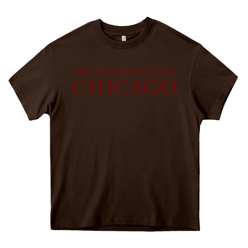 College Of Chicago Heavy Core Tee by artisFamous | Teevron