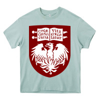 Arona College of Chicago Heavy Core Tee - artisFamous