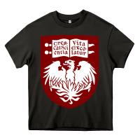 Asphalt College of Chicago Heavy Core Tee - artisFamous