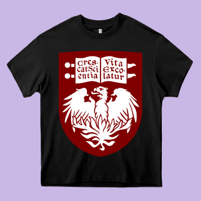 College Of Chicago Heavy Core Tee Designed By Artisfamous