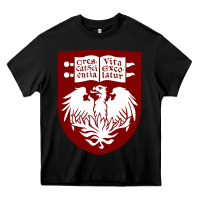 Black College of Chicago Heavy Core Tee - artisFamous