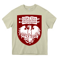 Mossy College of Chicago Heavy Core Tee - artisFamous