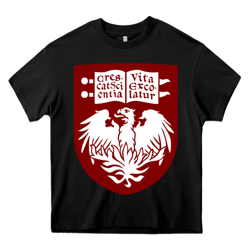College Of Chicago Heavy Core Tee by artisFamous | Teevron