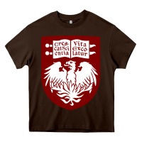 Chocolate Brown College of Chicago Heavy Core Tee - artisFamous