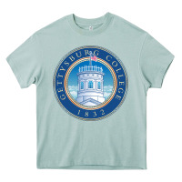 Arona gettysburg college Heavy Core Tee - artisFamous