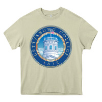 Mossy gettysburg college Heavy Core Tee - artisFamous