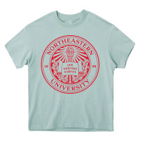 Arona northeastern university Heavy Core Tee - artisFamous