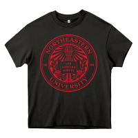 Asphalt northeastern university Heavy Core Tee - artisFamous