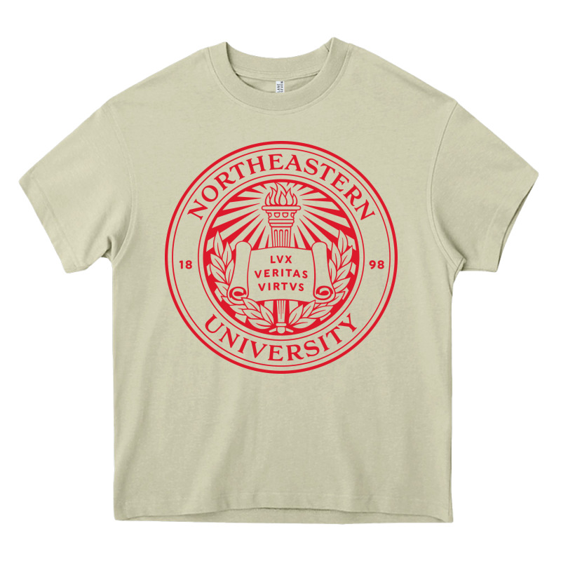 Northeastern University Heavy Core Tee by artisFamous | Teevron