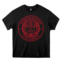 Black northeastern university Heavy Core Tee - artisFamous