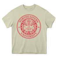 Mossy northeastern university Heavy Core Tee - artisFamous