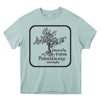 Arona pitzer college seal, cali Heavy Core Tee - artisFamous