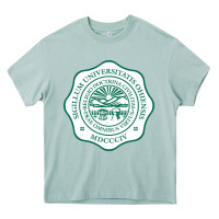 Arona ohio university Heavy Core Tee - artisFamous